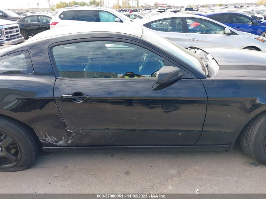 2014 FORD MUSTANG - 1ZVBP8AM2E5328712
