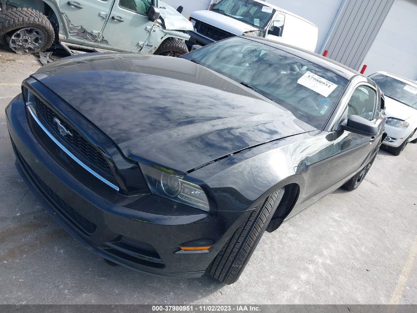2014 FORD MUSTANG - 1ZVBP8AM2E5328712