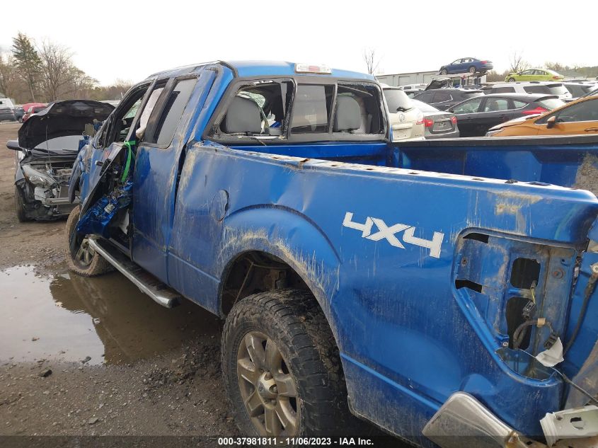 2014 FORD F-150 XLT - 1FTFX1ET8EFC40948