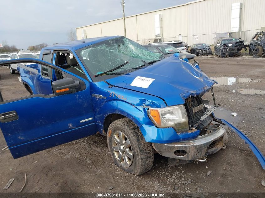 2014 FORD F-150 XLT - 1FTFX1ET8EFC40948