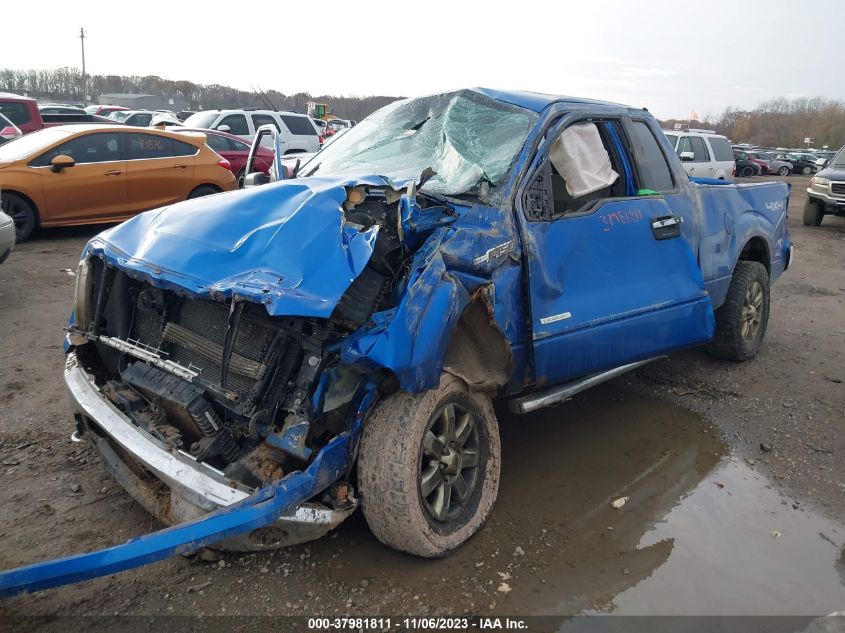2014 FORD F-150 XLT - 1FTFX1ET8EFC40948