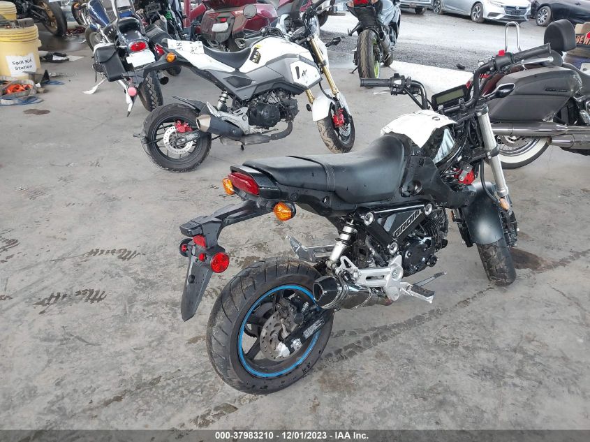 2023 HONDA GROM 125 MLHJC9211P5103489