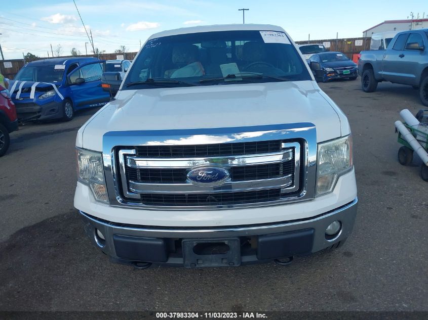 2013 FORD F-150 XLT - 1FTFW1EF4DKF16206