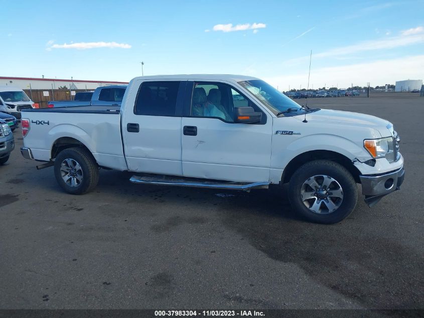 2013 FORD F-150 XLT - 1FTFW1EF4DKF16206