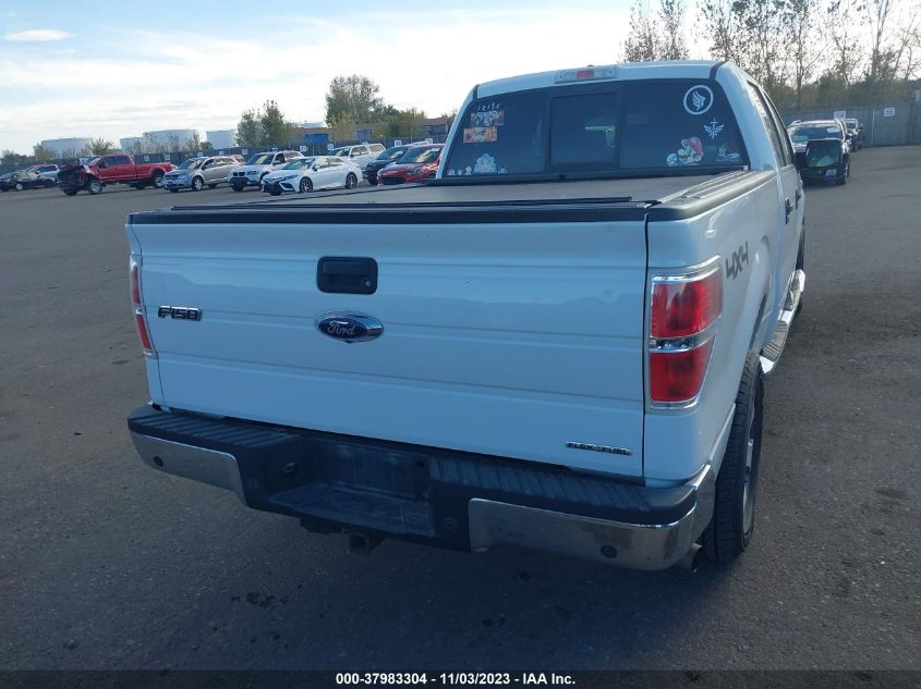 2013 FORD F-150 XLT - 1FTFW1EF4DKF16206