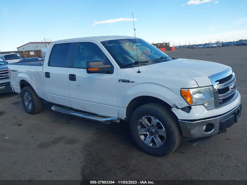 2013 FORD F-150 XLT - 1FTFW1EF4DKF16206