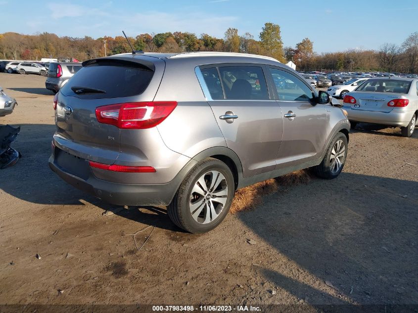 2013 KIA SPORTAGE EX - KNDPCCA24D7474635