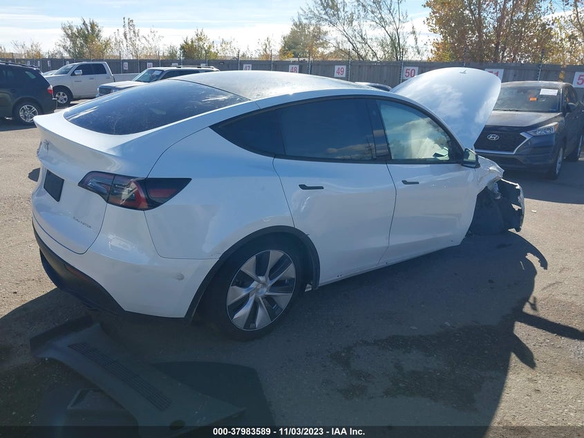 VIN 7SAYGDEE6PF788923 2023 TESLA MODEL Y