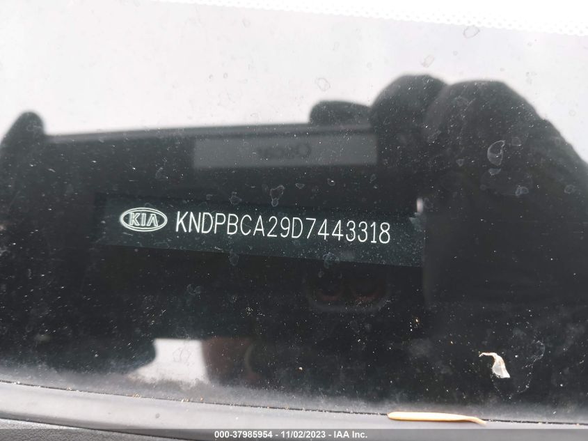 2013 KIA SPORTAGE LX - KNDPBCA29D7443318
