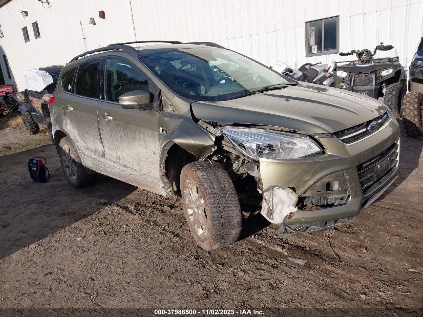 2013 FORD ESCAPE SEL - 1FMCU9H98DUB28537