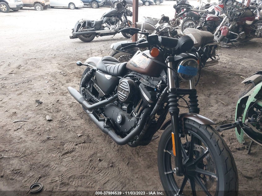 VIN 1HD4LE218KC431407 2019 HARLEY-DAVIDSON XL883 N