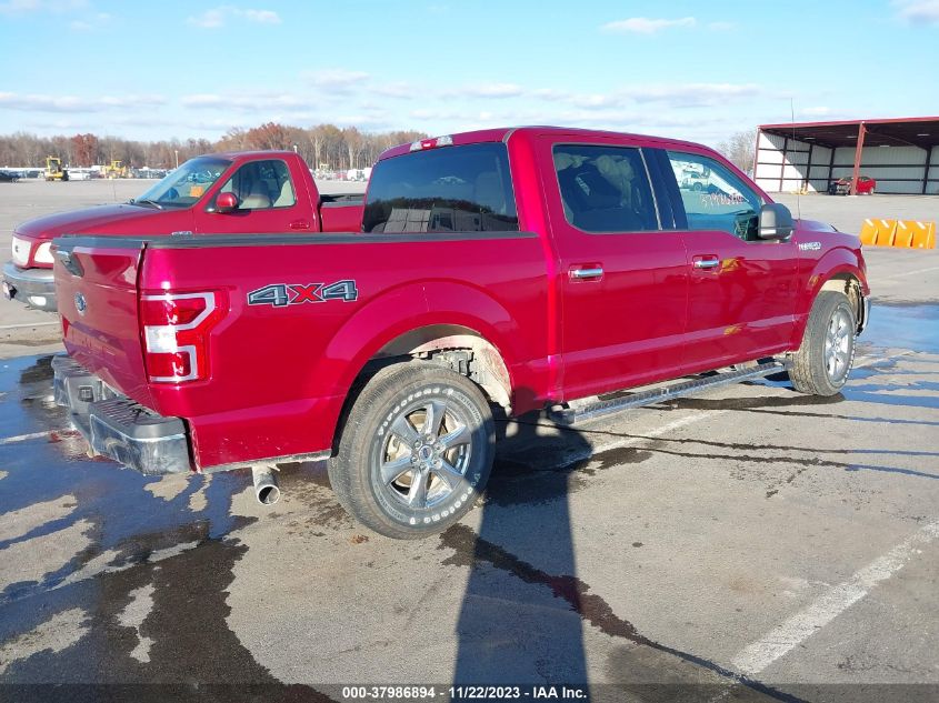 2018 FORD F-150 XLT - 1FTEW1EP2JKD25013