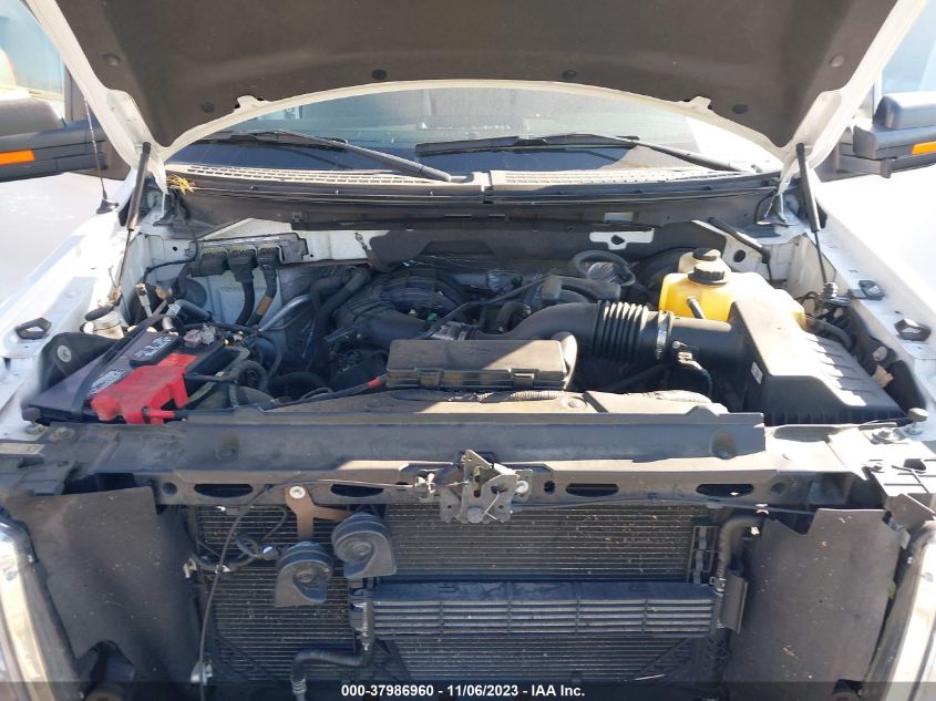 2013 FORD F-150 XLT - 1FTEX1CM0DFD38619