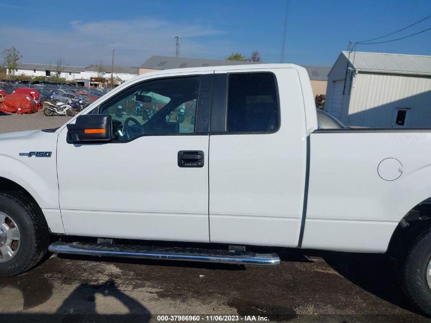 2013 FORD F-150 XLT - 1FTEX1CM0DFD38619