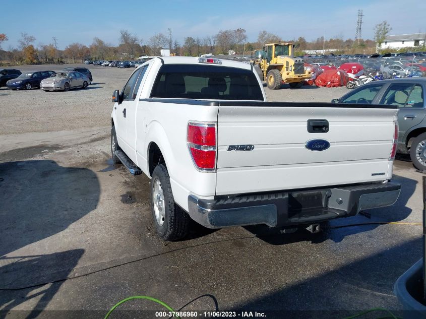 2013 FORD F-150 XLT - 1FTEX1CM0DFD38619