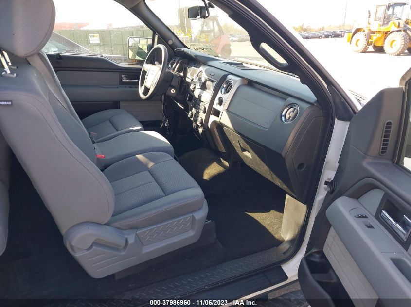 2013 FORD F-150 XLT - 1FTEX1CM0DFD38619
