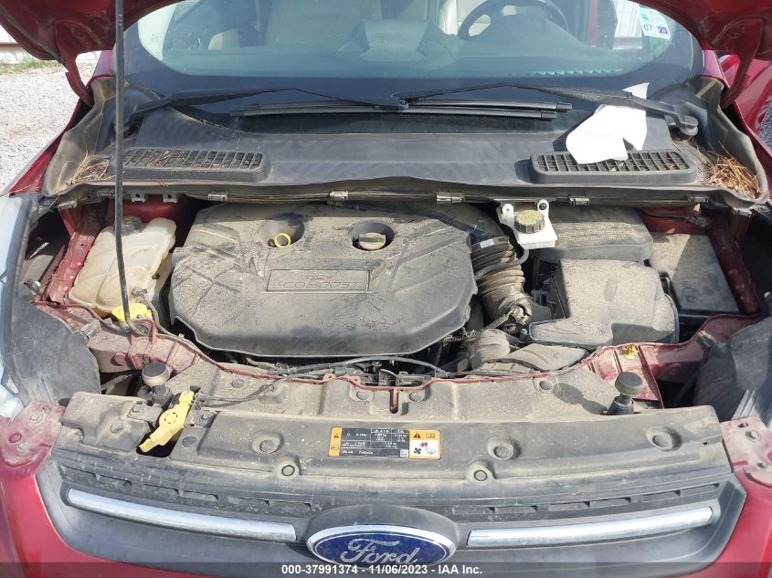 2014 FORD ESCAPE SE - 1FMCU0G95EUC89930