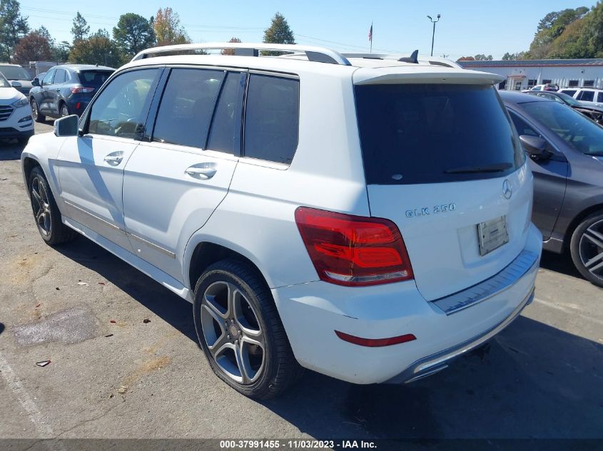 2013 MERCEDES-BENZ GLK 250 BLUETEC - WDCGG0EB6DG100583