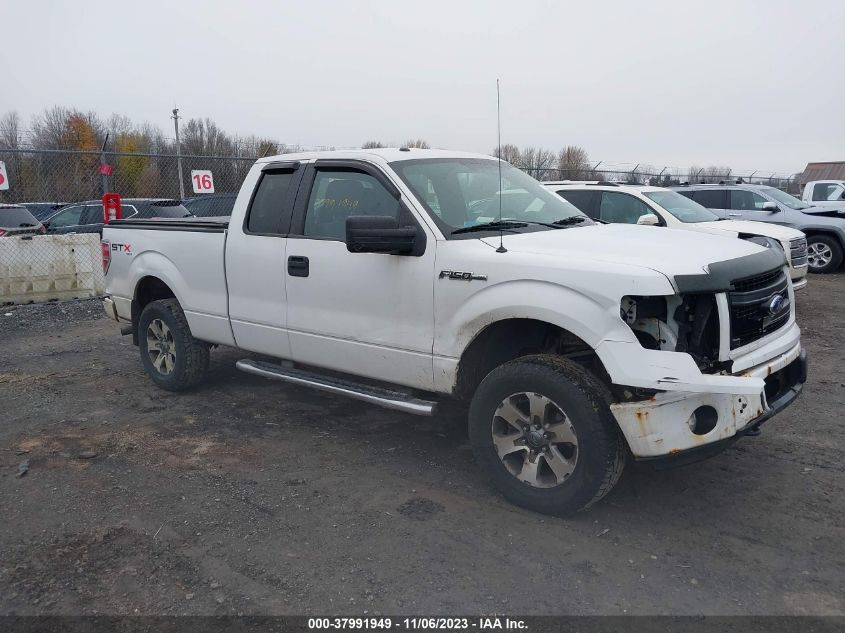 2013 FORD F-150 STX - 1FTFX1EF5DFB33574