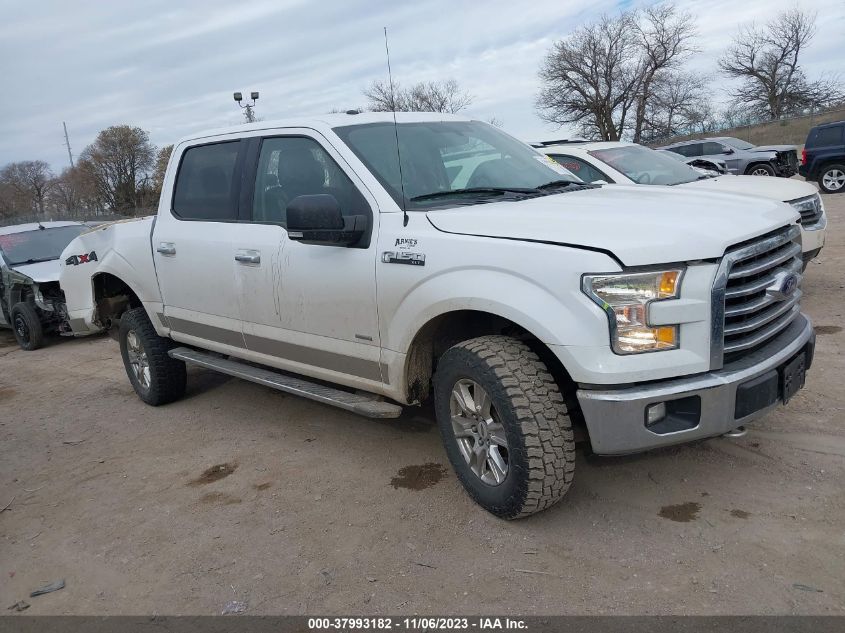 2016 FORD F-150 XLT - 1FTEW1EG4GKF32432