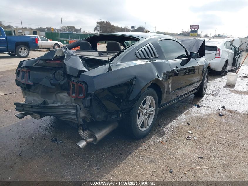 2014 FORD MUSTANG V6 - 1ZVBP8AM6E5254520