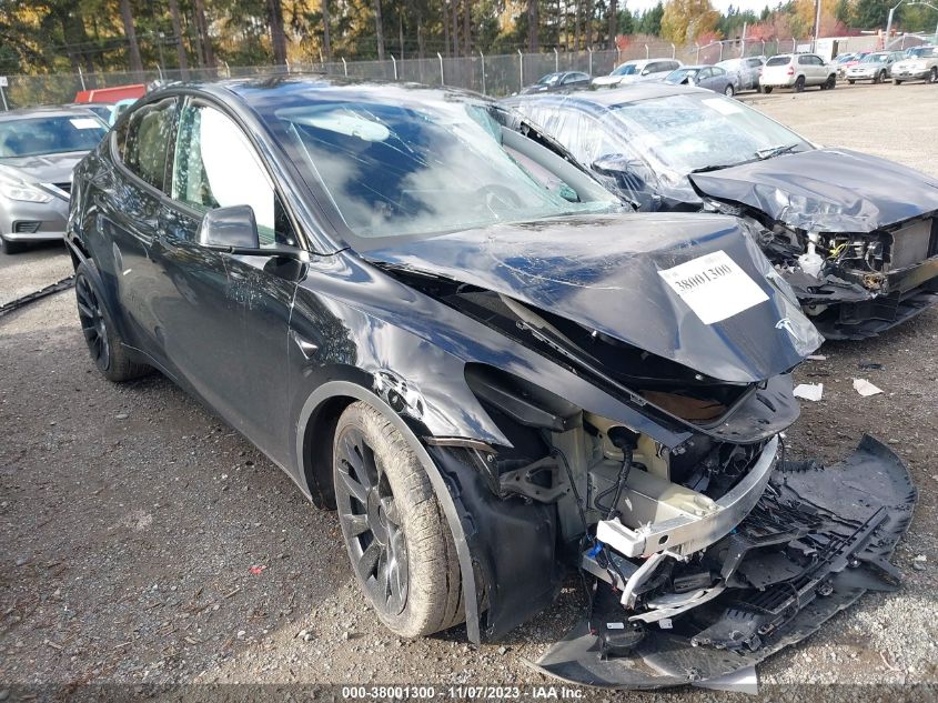 2023 TESLA MODEL Y - 7SAYGDEE1PF828115