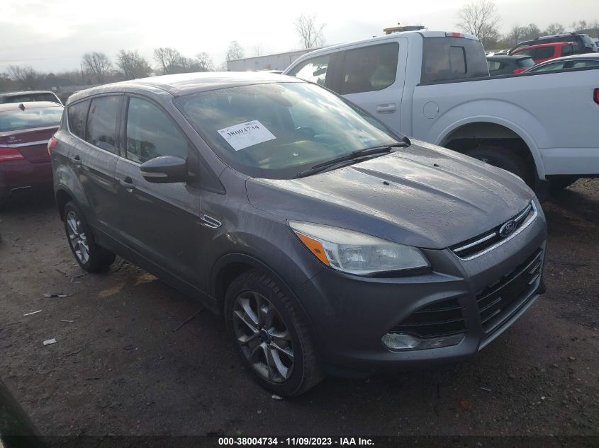 2013 FORD ESCAPE SEL - 1FMCU9H94DUA81457