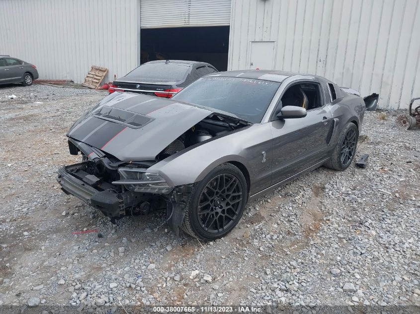 2013 FORD SHELBY GT500 - 1ZVBP8JZ3D5277814