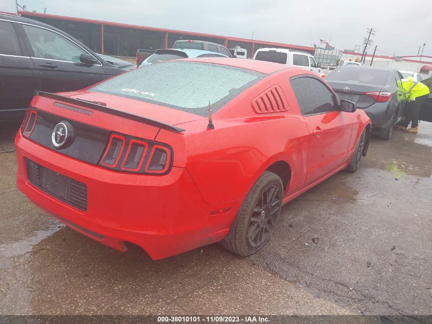 2014 FORD MUSTANG - 1ZVBP8AM1E5300447