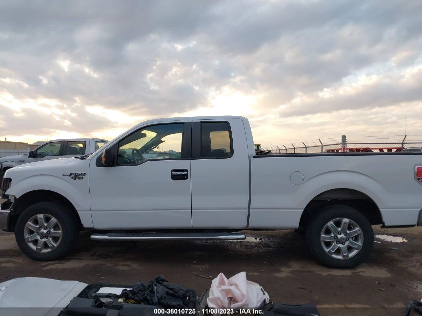 2013 FORD F-150 XLT - 1FTFX1CF1DFB59835