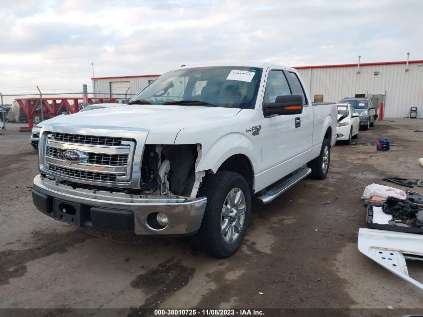 2013 FORD F-150 XLT - 1FTFX1CF1DFB59835