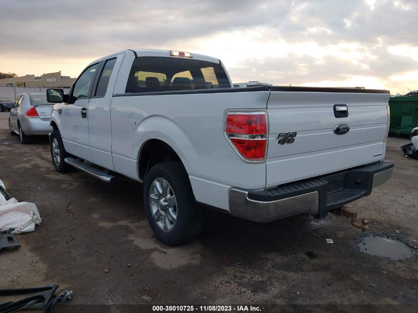 2013 FORD F-150 XLT - 1FTFX1CF1DFB59835