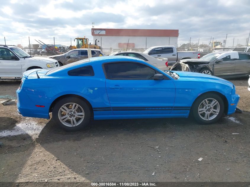 2013 FORD MUSTANG - 1ZVBP8AM6D5273664