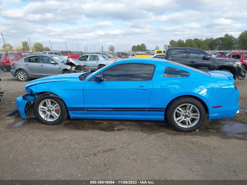 2013 FORD MUSTANG - 1ZVBP8AM6D5273664