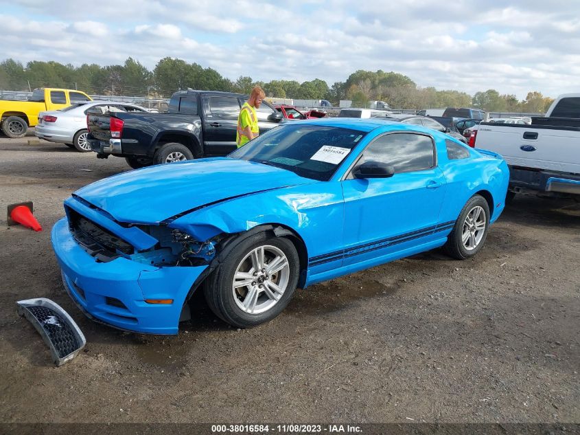 2013 FORD MUSTANG - 1ZVBP8AM6D5273664