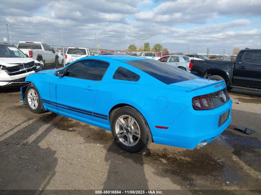 2013 FORD MUSTANG - 1ZVBP8AM6D5273664