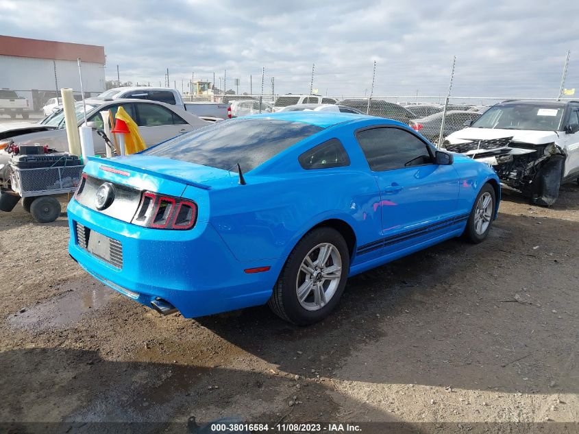 2013 FORD MUSTANG - 1ZVBP8AM6D5273664