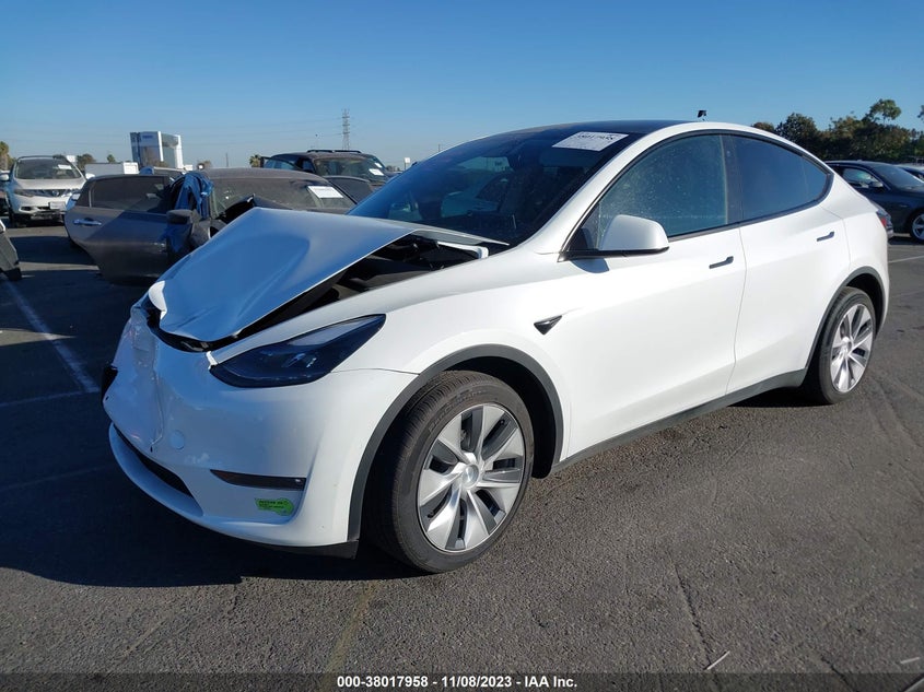 VIN 7SAYGDEE7NF560698 2022 TESLA MODEL Y