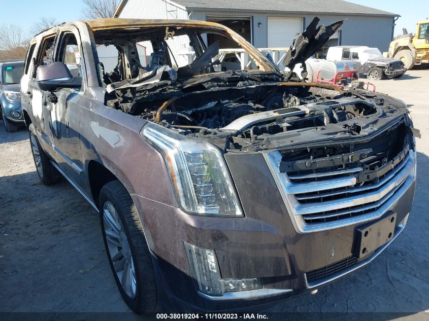 2016 CADILLAC ESCALADE PLATINUM - 1GYS4DKJ7GR234131