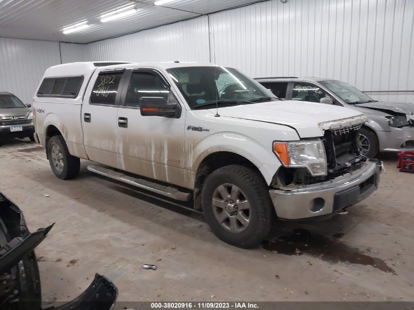 2014 FORD F-150 XLT - 1FTFW1ET3EFC49219