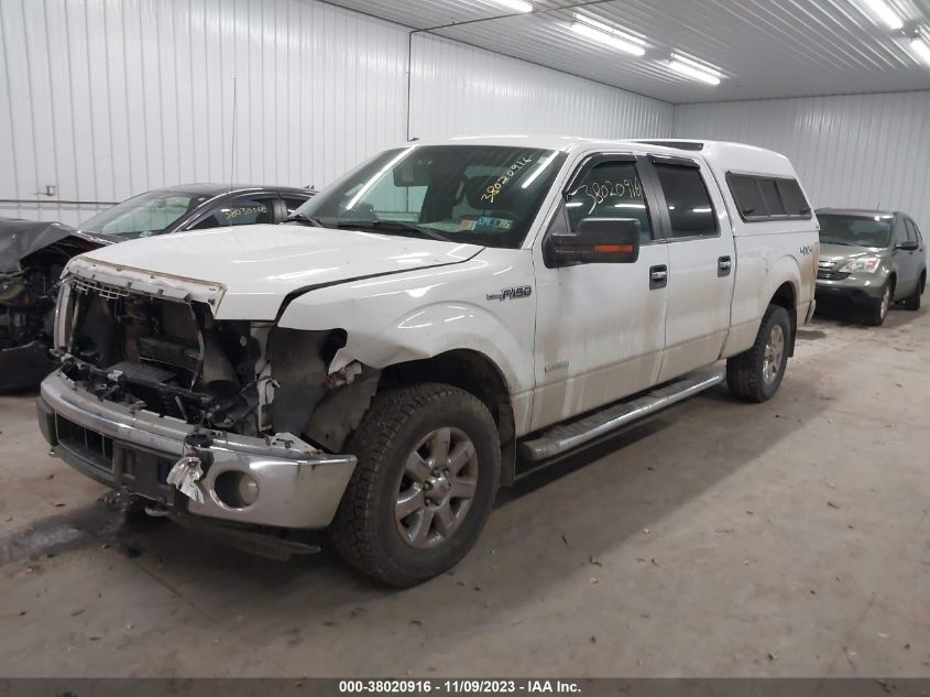 2014 FORD F-150 XLT - 1FTFW1ET3EFC49219