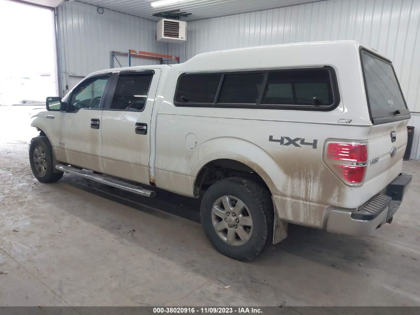 2014 FORD F-150 XLT - 1FTFW1ET3EFC49219