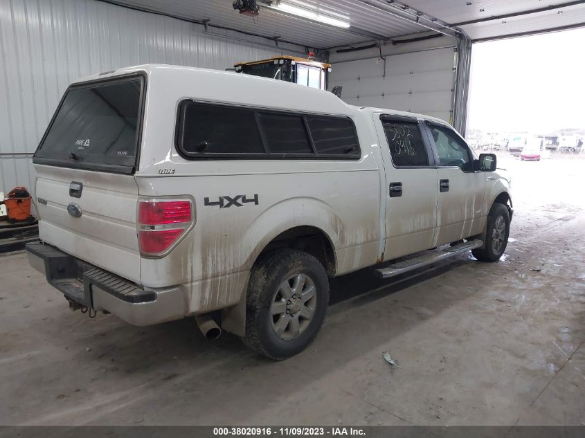 2014 FORD F-150 XLT - 1FTFW1ET3EFC49219