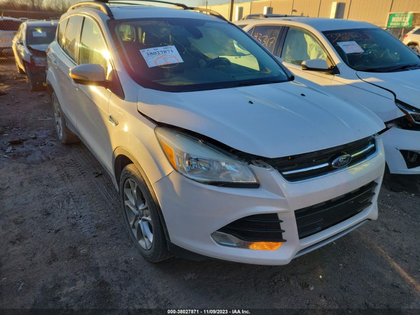 2013 FORD ESCAPE SEL - 1FMCU9H91DUA27016