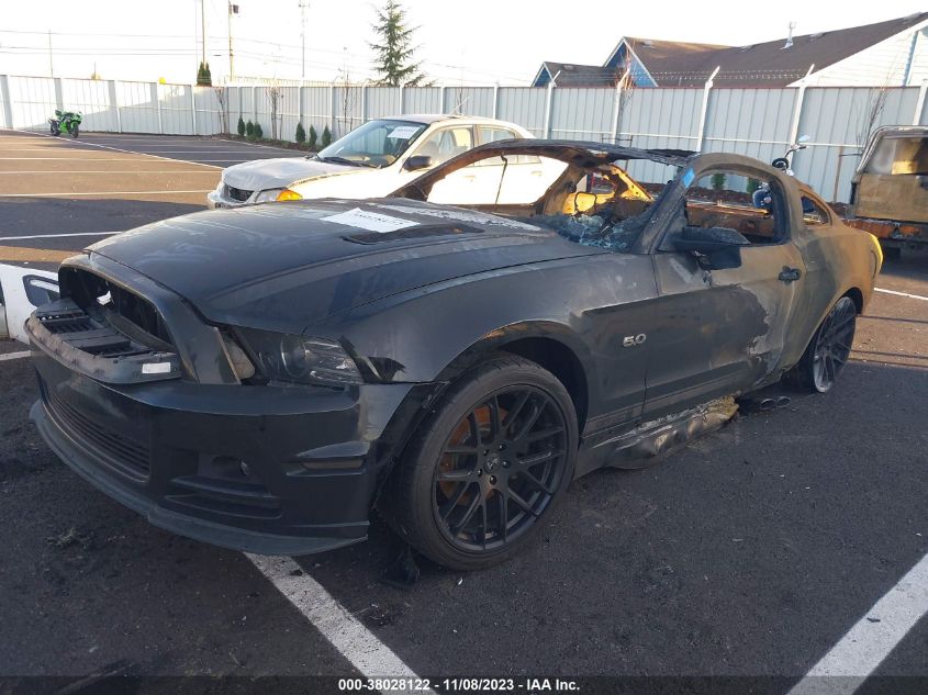 2013 FORD MUSTANG GT PREMIUM - 1ZVBP8CF1D5213175