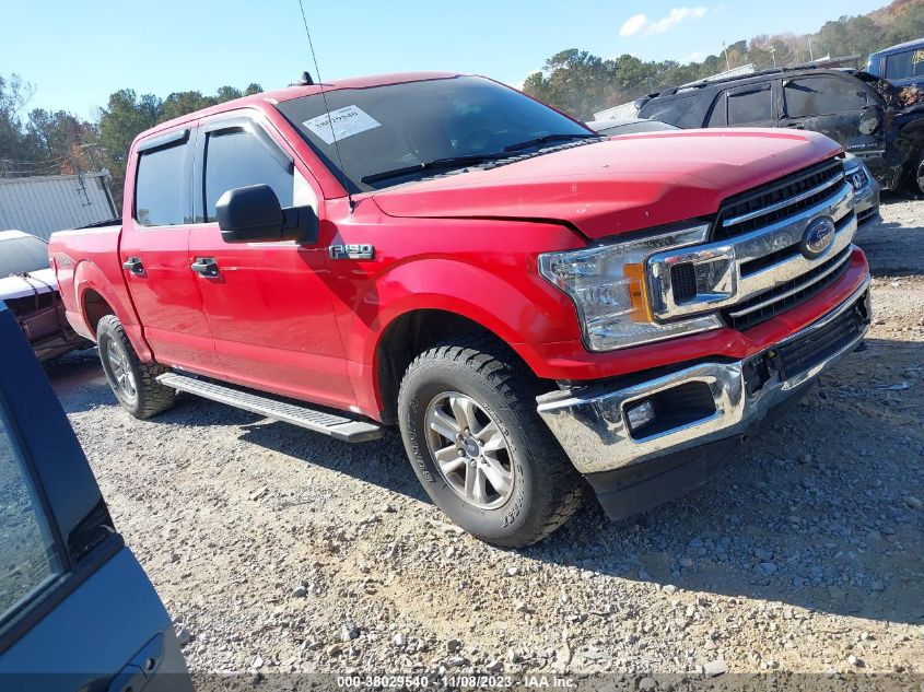 2019 FORD F-150 XLT - 1FTEW1E59KFB20328