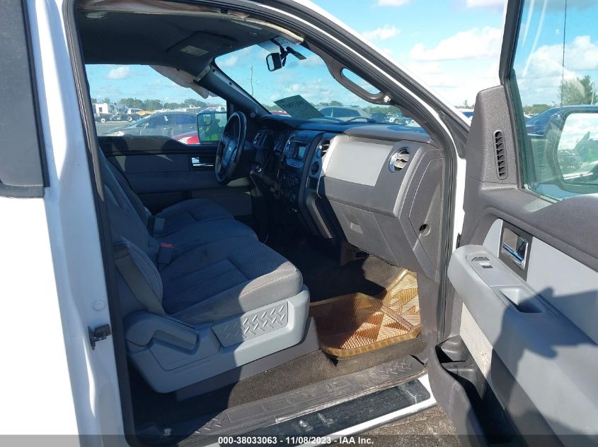 2013 FORD F-150 XLT - 1FTMF1CM0DKE71712