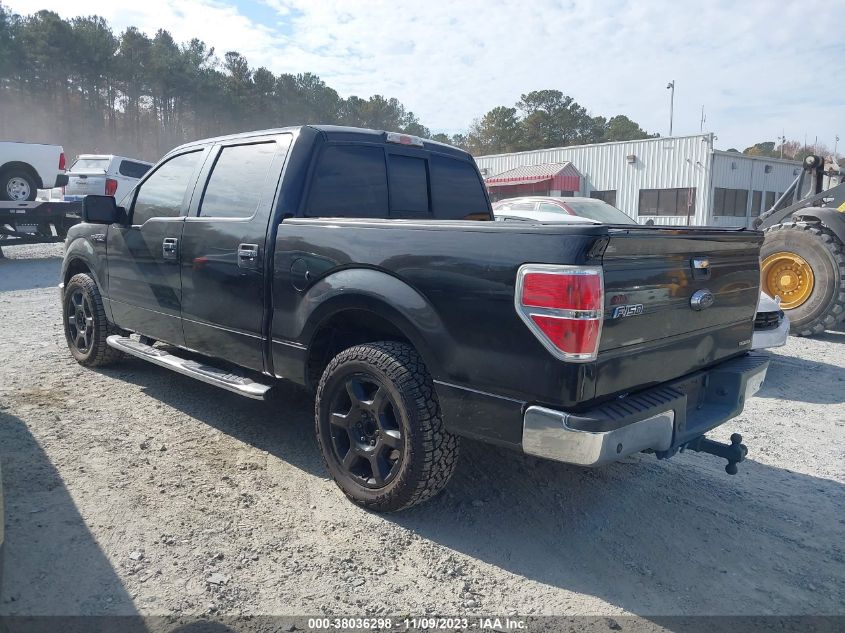 2014 FORD F-150 XLT - 1FTFW1CF2EFC83116