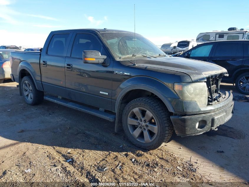 2013 FORD F-150 FX4 - 1FTFW1ET5DFB40369