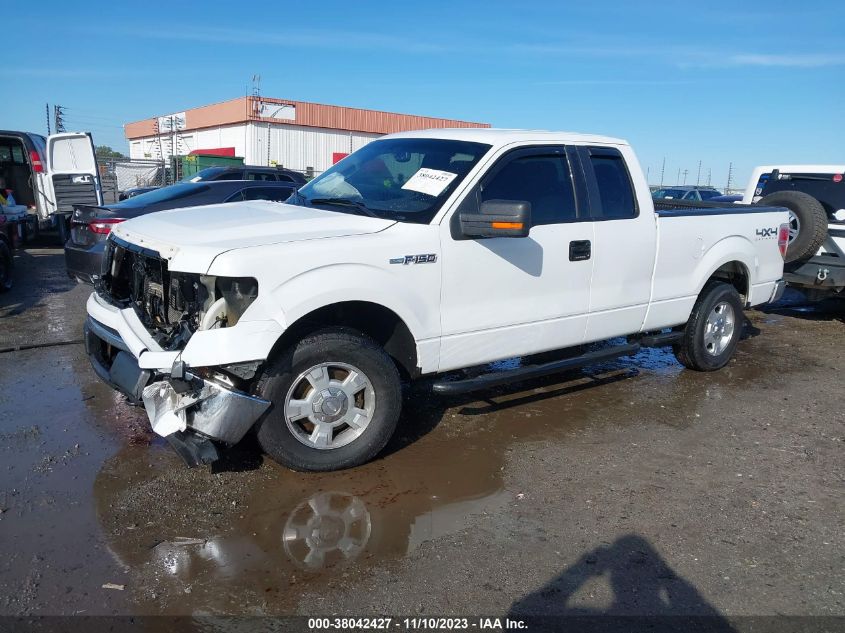 2014 FORD F-150 XLT - 1FTFX1EF3EKD61243